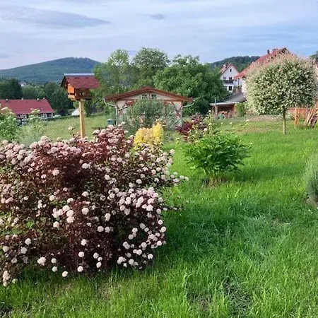 Altensteinblick *